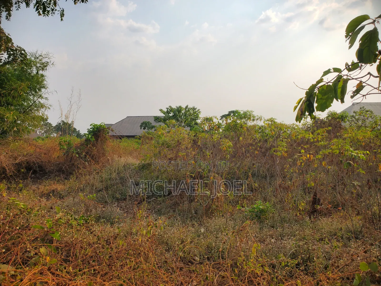 Land Measuring 100ft by 50 Ft Along Old Road Aviele Auchi in Auchi