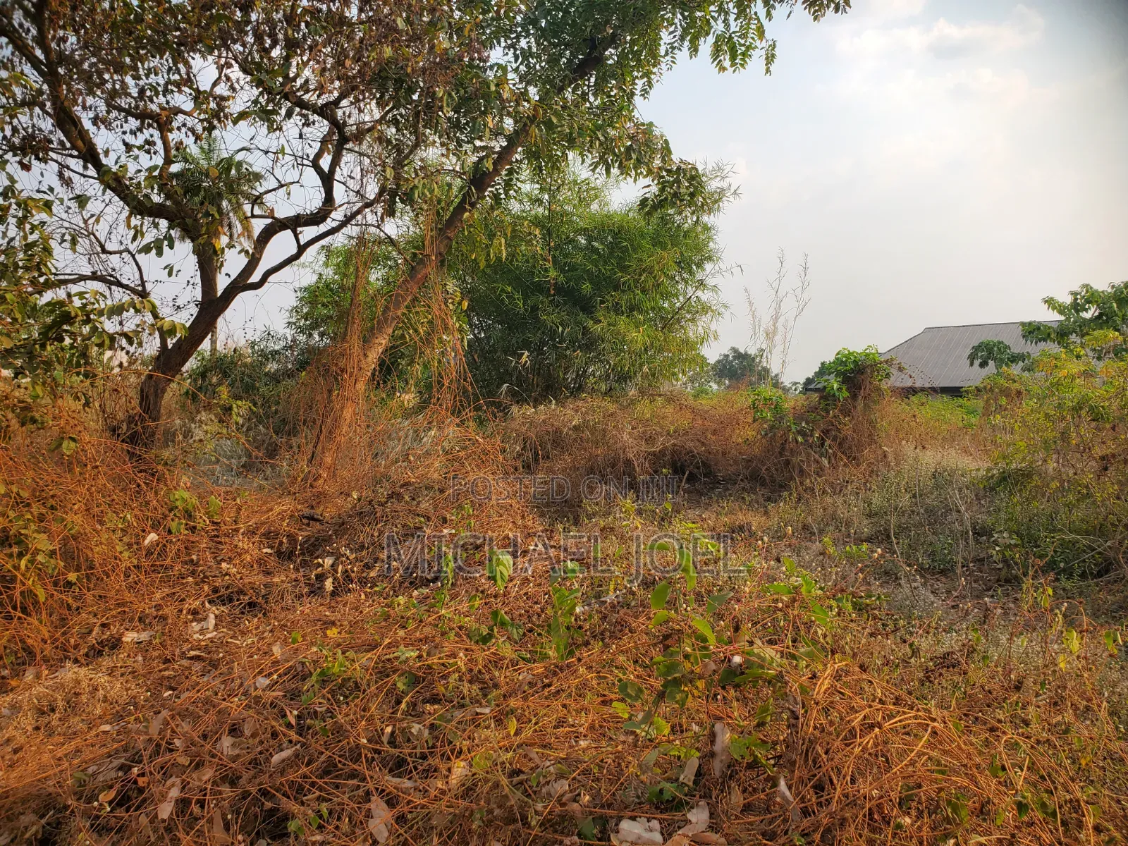 Land Measuring 100ft by 50 Ft Along Old Road Aviele Auchi in Auchi