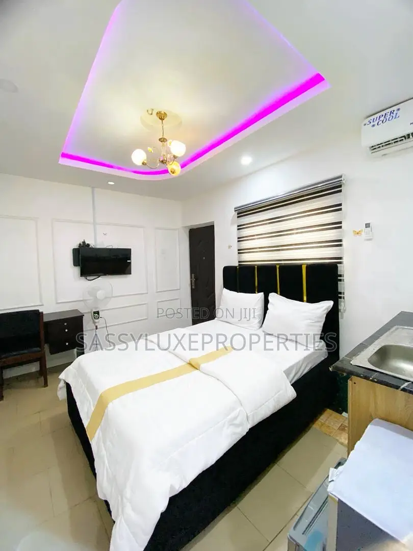 Studio Apartment With Wi-Fi in Ikeja