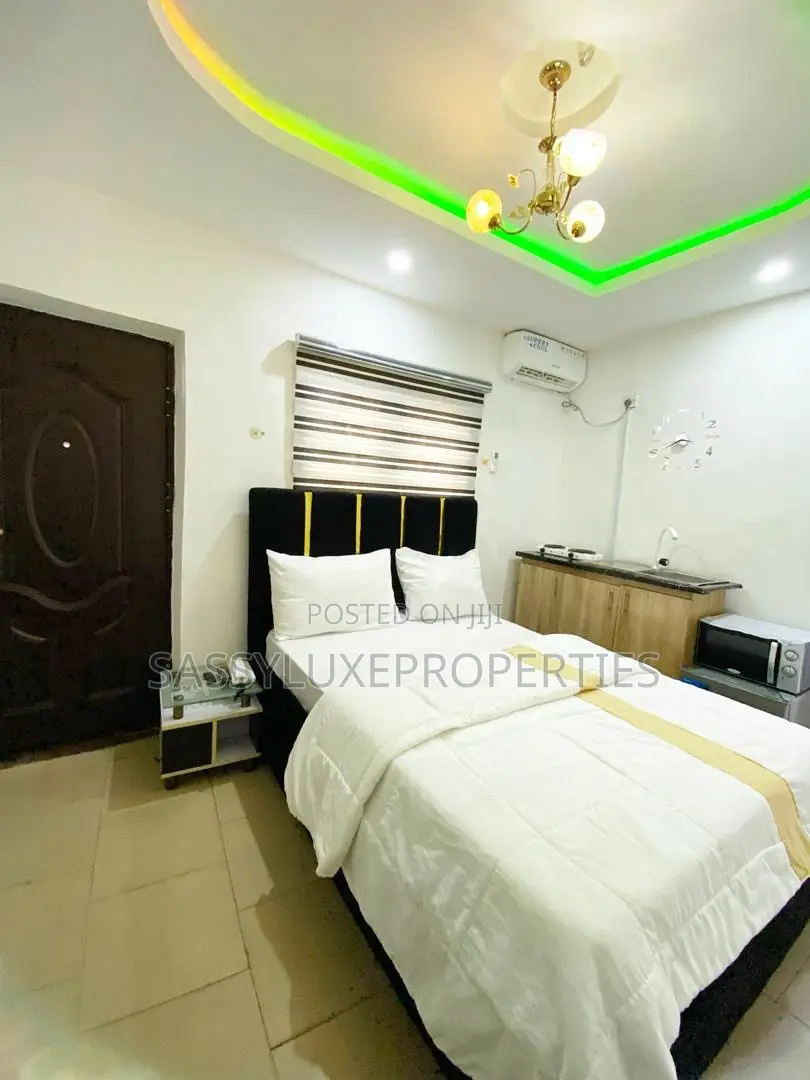 Studio Apartment With Wi-Fi in Ikeja