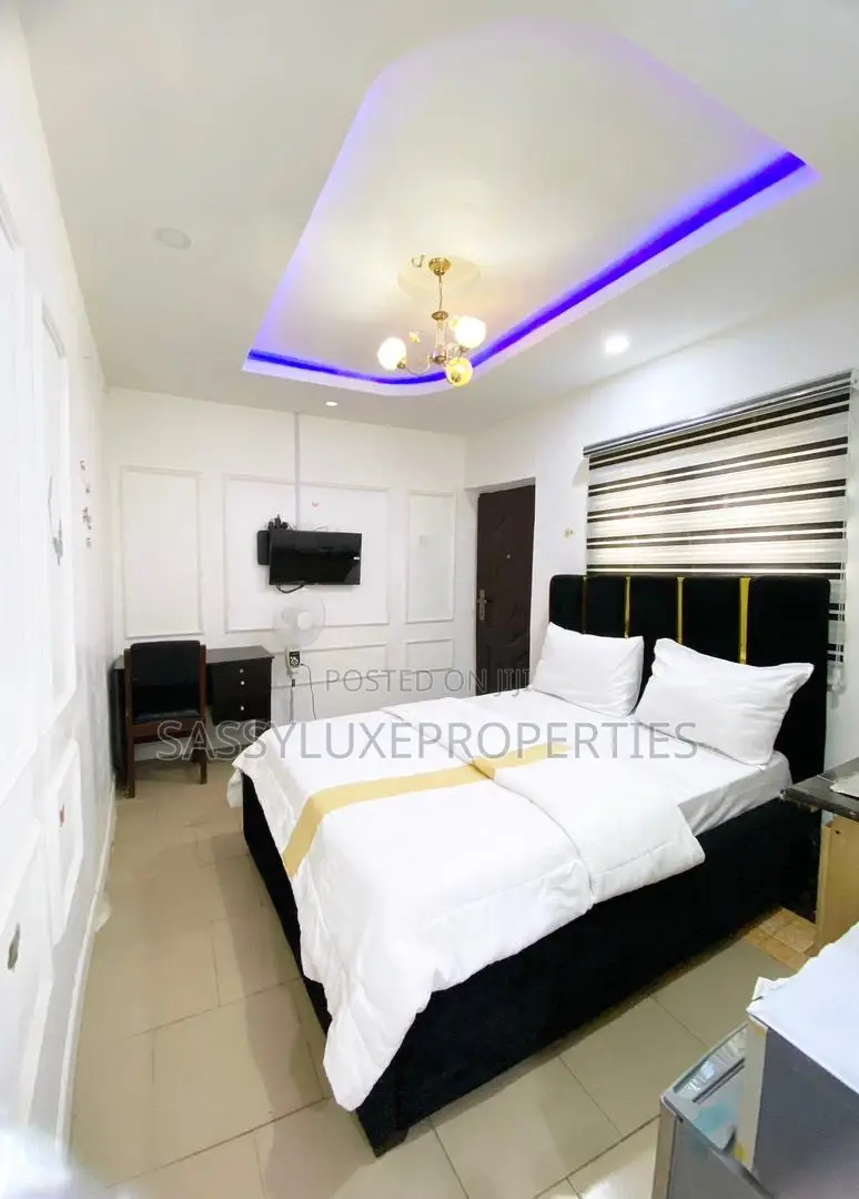 Studio Apartment With Wi-Fi in Ikeja