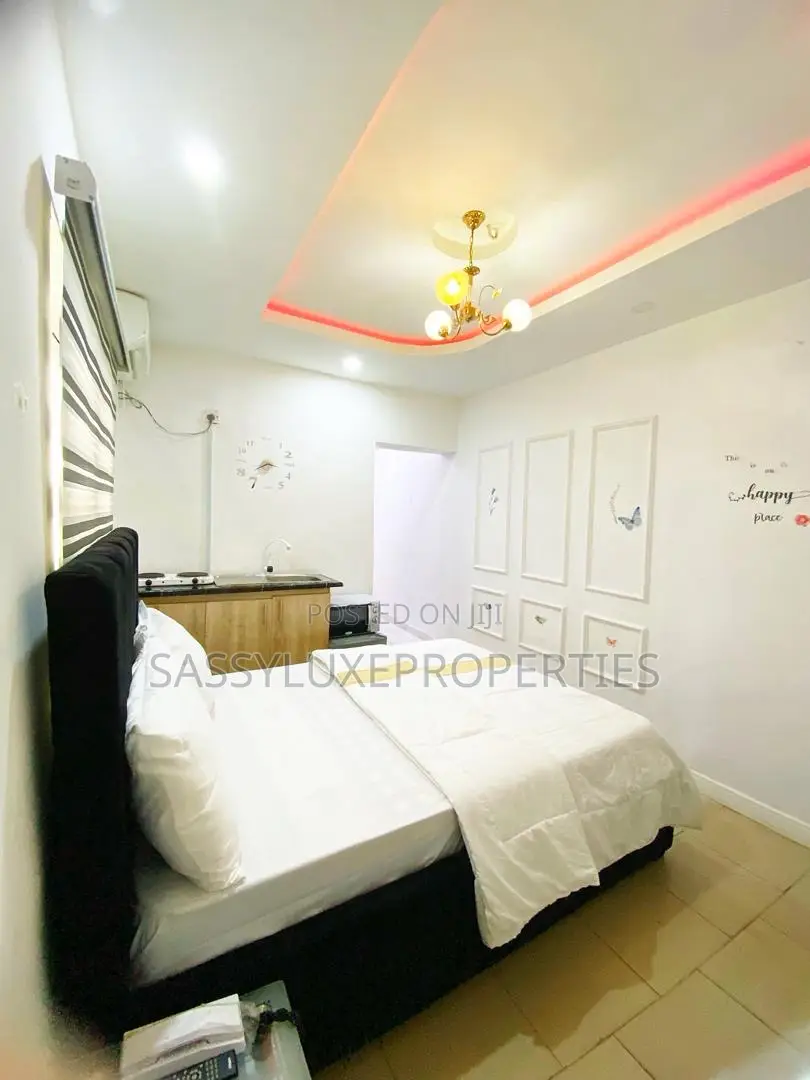 Studio Apartment With Wi-Fi in Ikeja