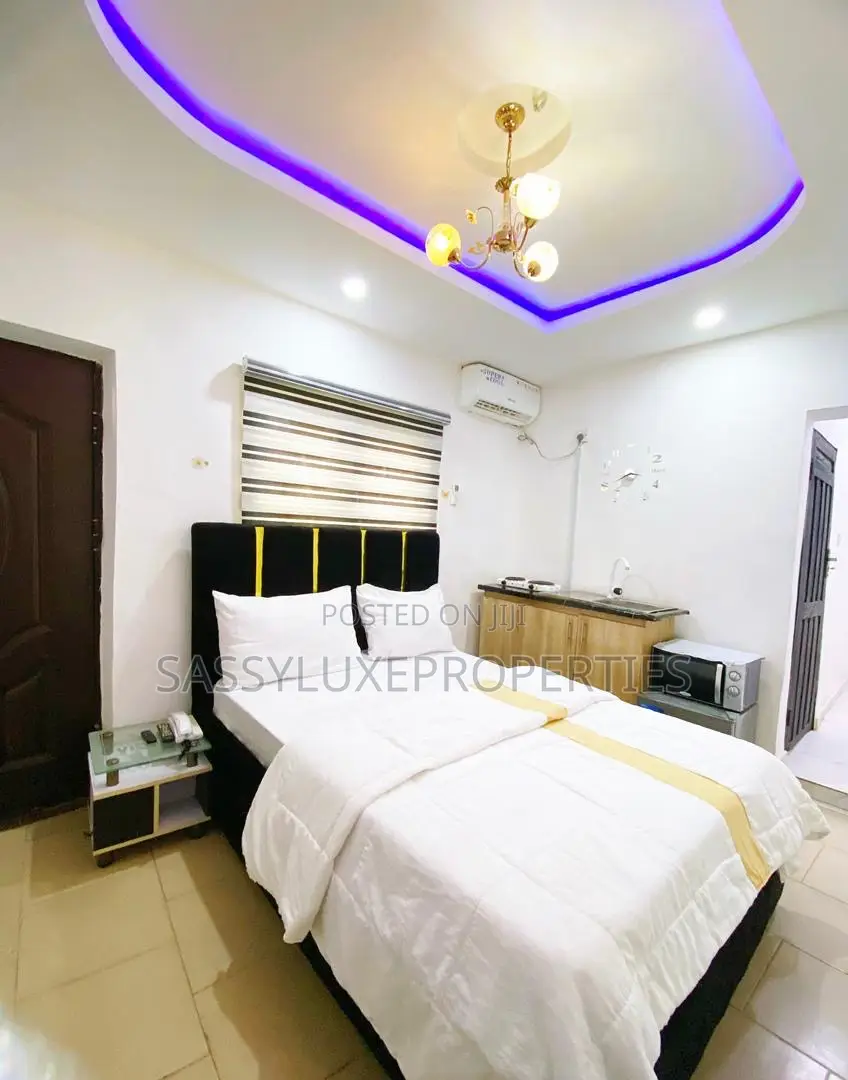 Studio Apartment With Wi-Fi in Ikeja