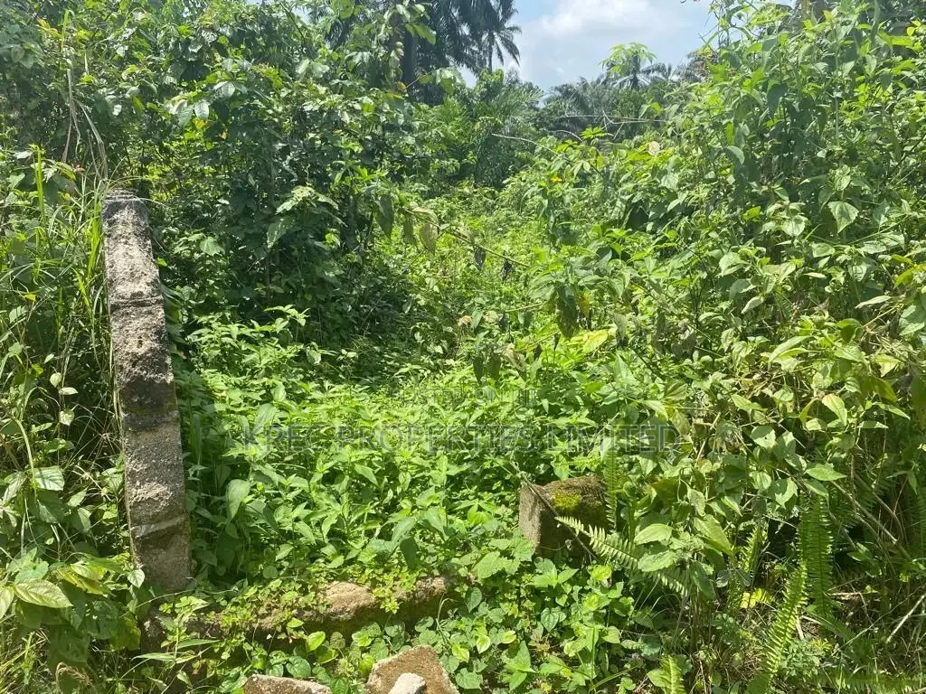 Per Plot of Estate Land in Port-Harcourt