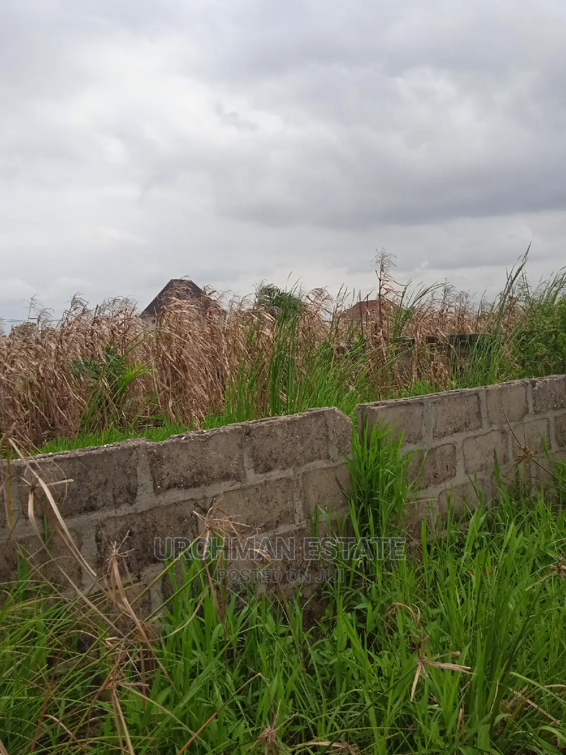 Half Plot of Land at Diamond Estate Soba Abule Ado in Abule Ado