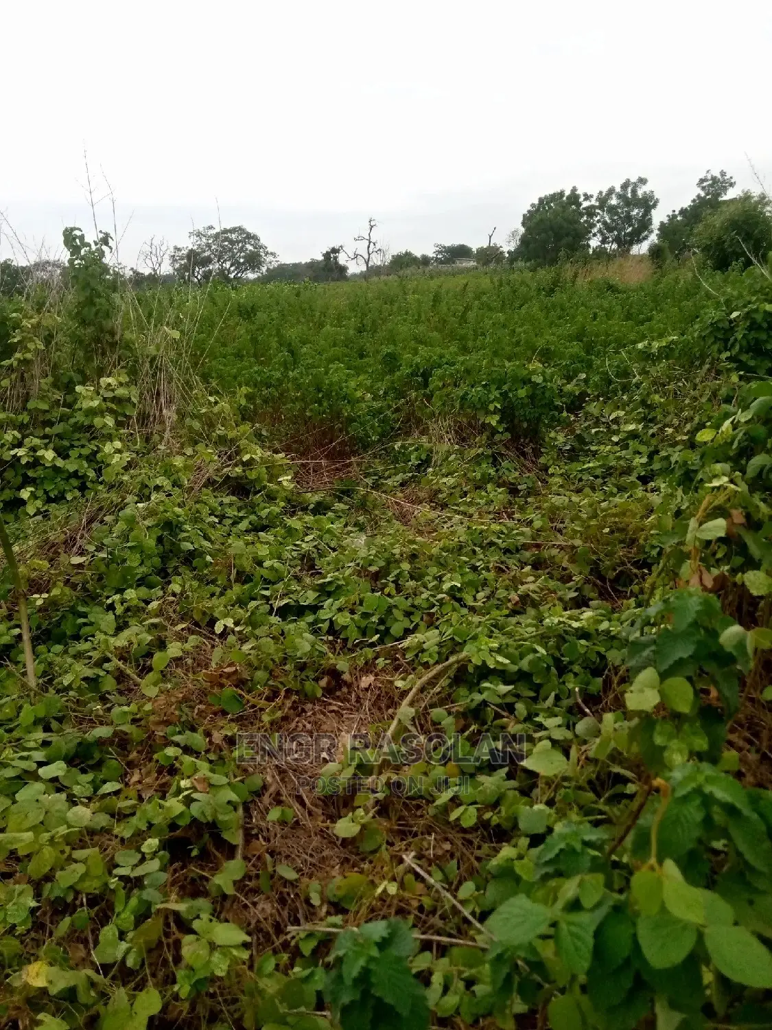 Land for at Ara Village Inside Kwara State Polytechnic I in Ifelodun-Kwara