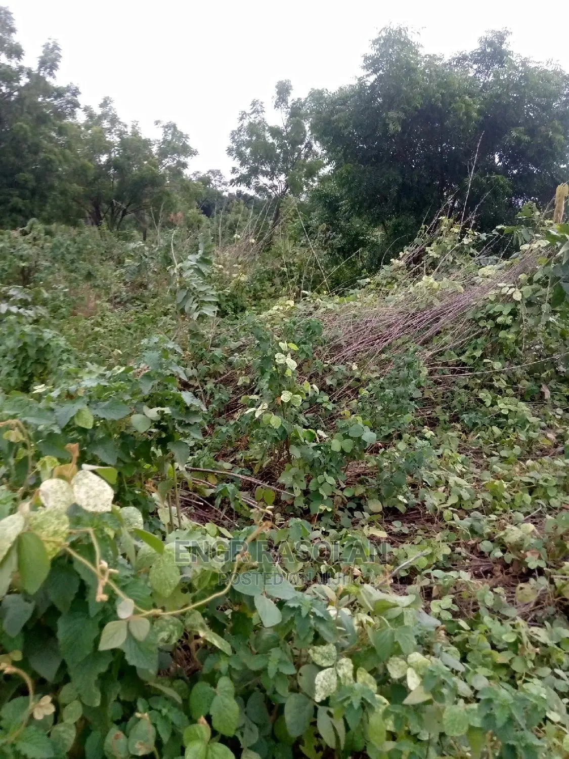 Land for at Ara Village Inside Kwara State Polytechnic I in Ifelodun-Kwara