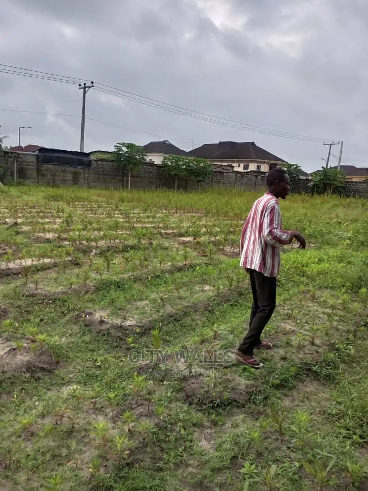 3 Plot of Commercial Land at Awoyaya in Ajah