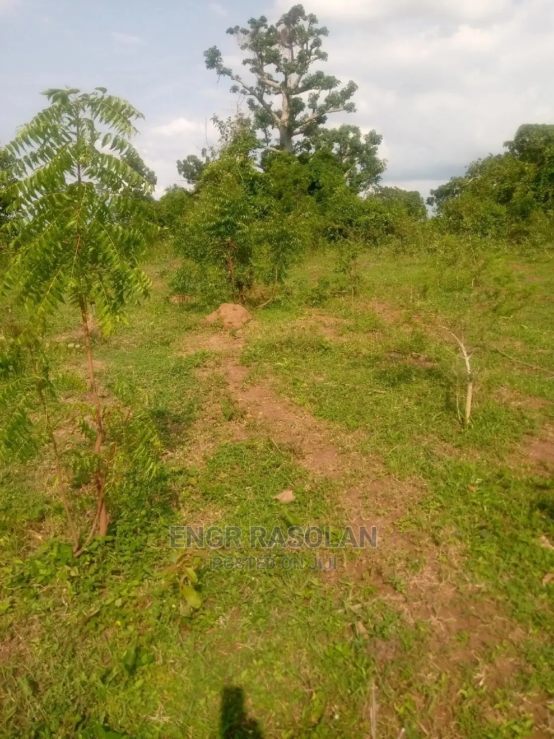Virgin and Farm Land for Sale in Asa