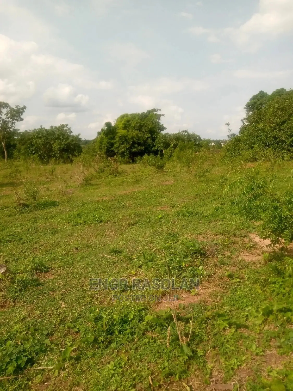 Virgin and Farm Land for Sale in Asa