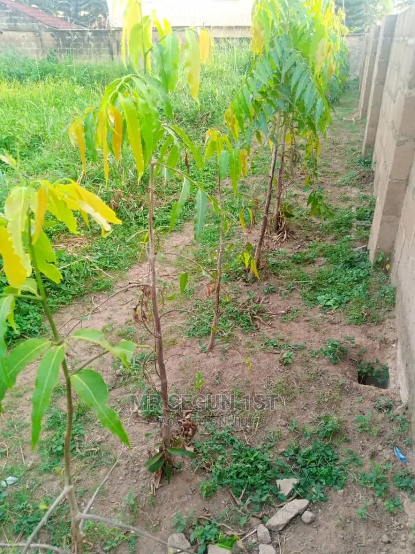 300sqm Plot of Land For Sale at Oyo Ibadan  in Ibadan