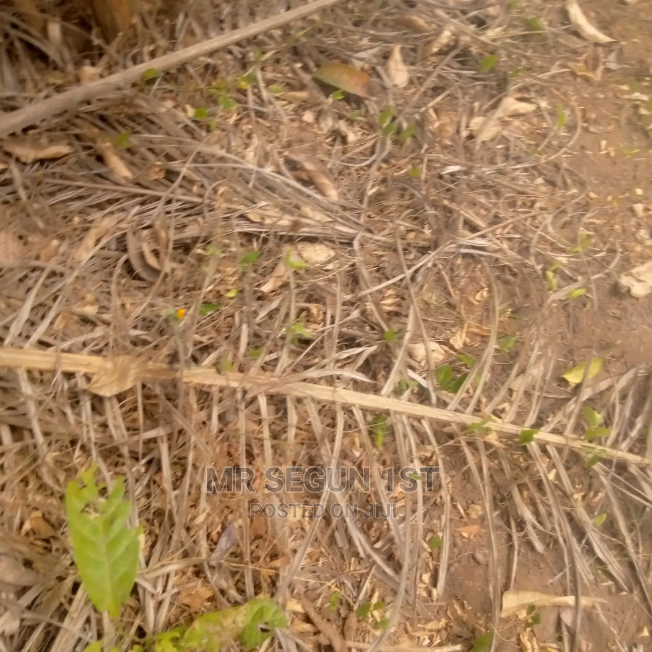 300sqm Plot of Land For Sale at Oyo Ibadan  in Ibadan