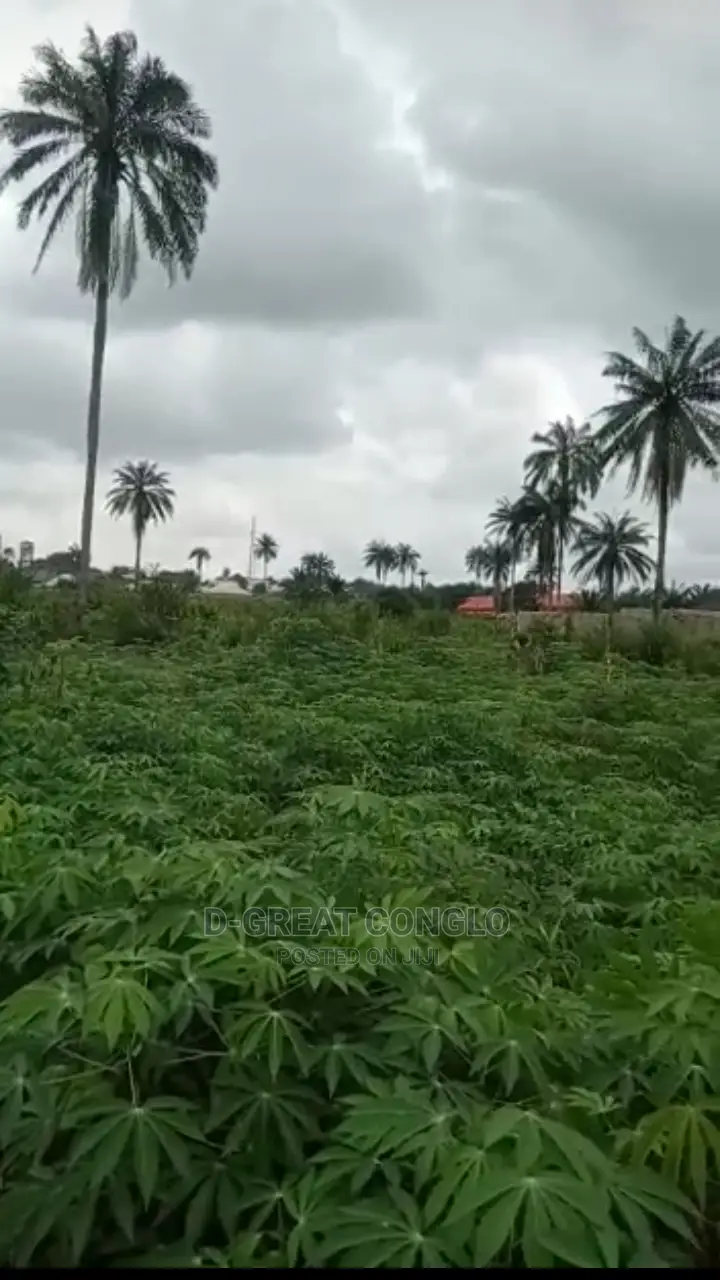 Sweet Table Land 200ft by 200ft Ibusa-Asaba Exp Way Ibusa in Oshimili South