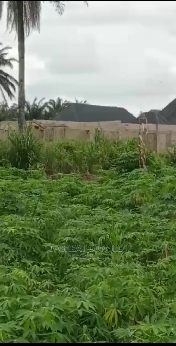 Sweet Table Land 200ft by 200ft Ibusa-Asaba Exp Way Ibusa in Oshimili South