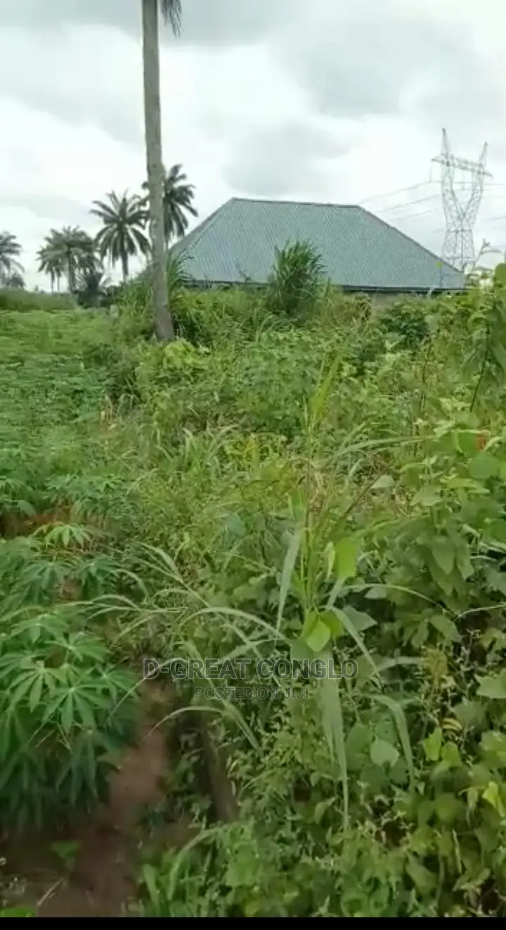 Sweet Table Land 200ft by 200ft Ibusa-Asaba Exp Way Ibusa in Oshimili South