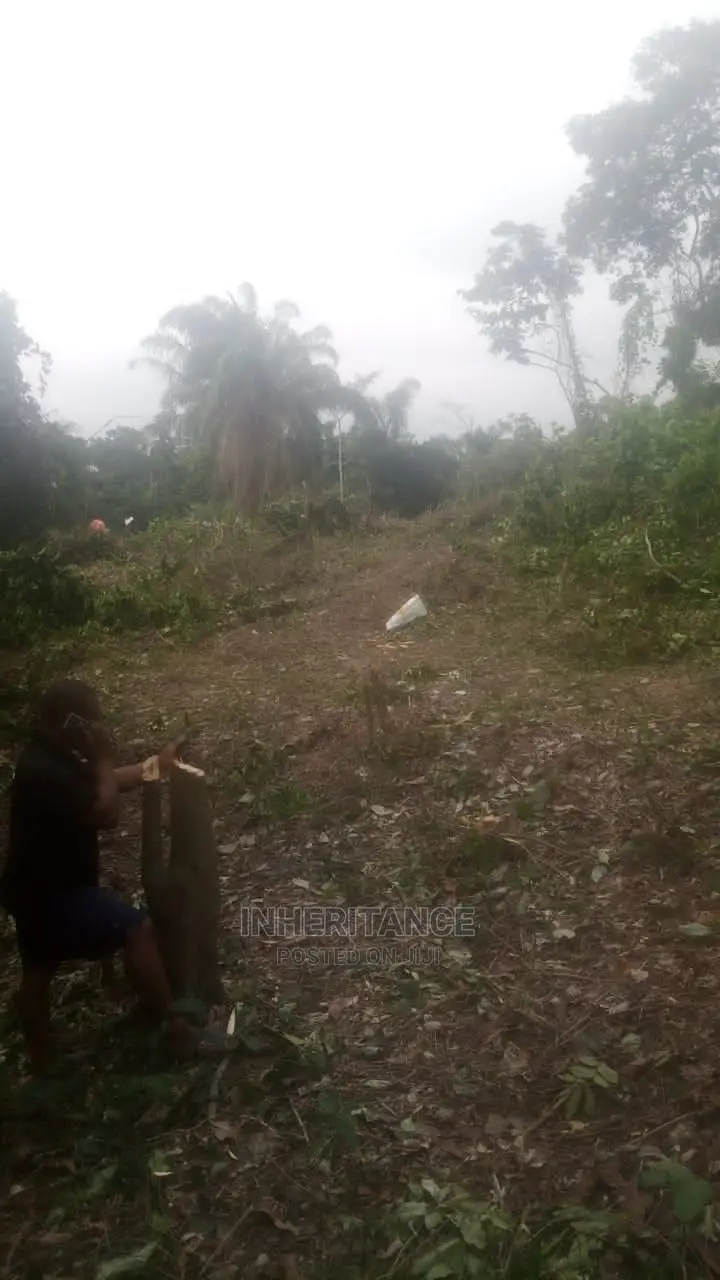Half Plot at Imgbon Araromi Ikorodu in Agric