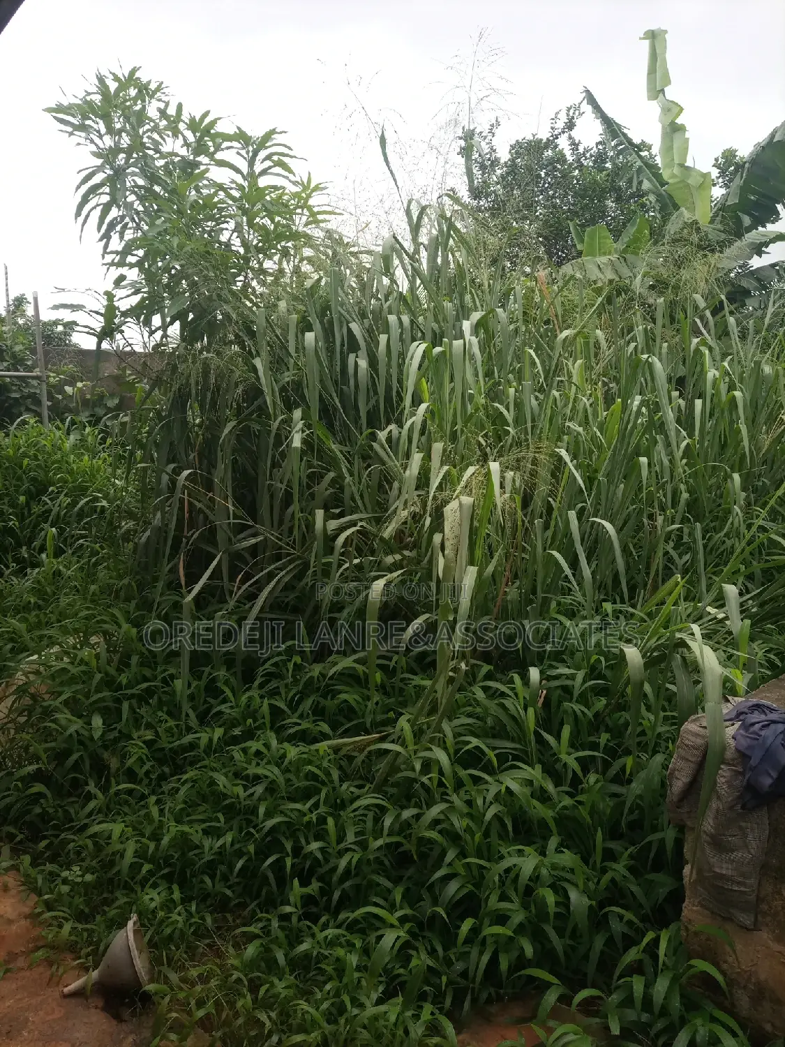 10bdrm Bungalow in Beautiful Close, Abesan for sale in Abesan