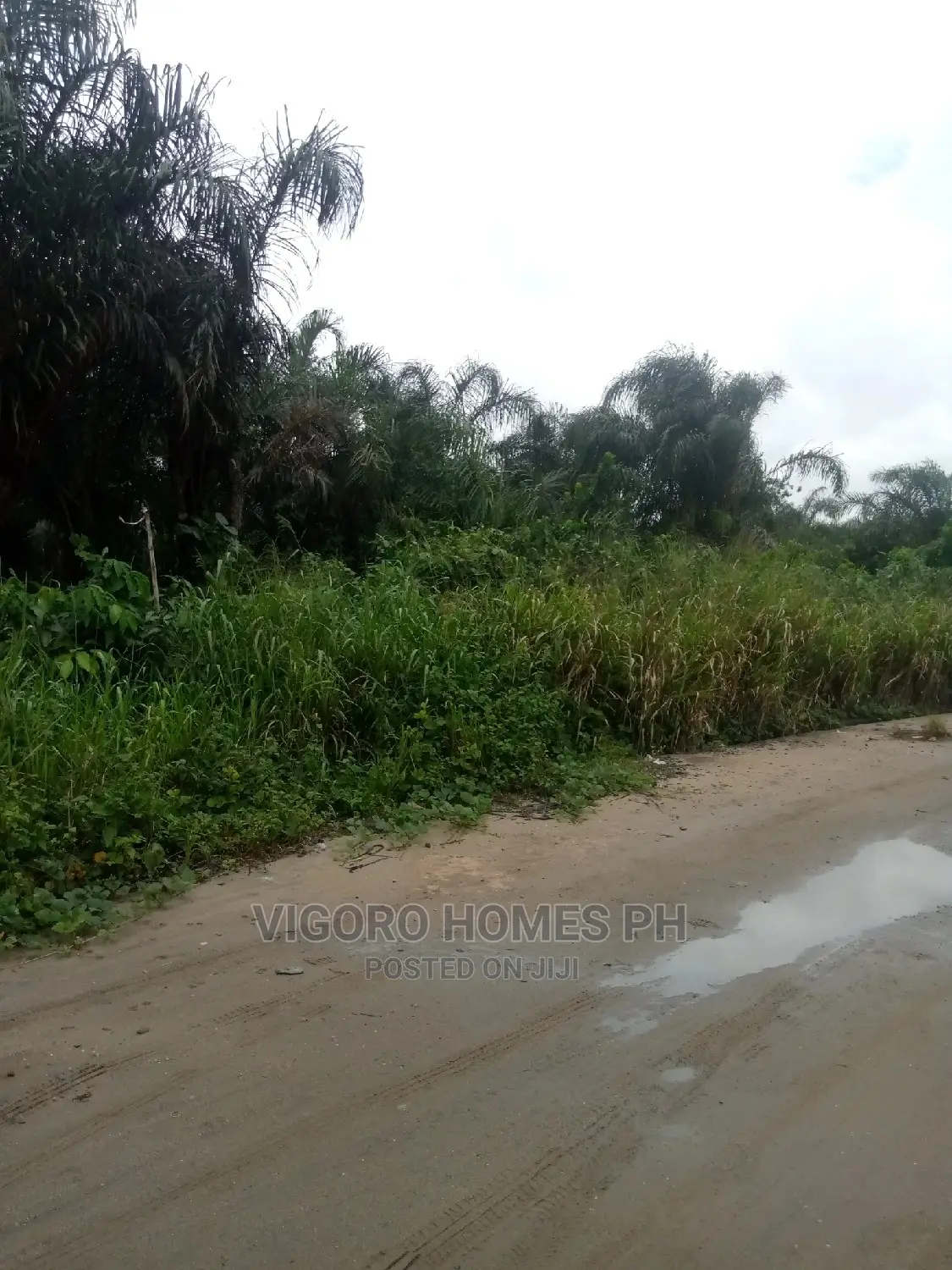 25 Plots of Commercial Land in Port-Harcourt