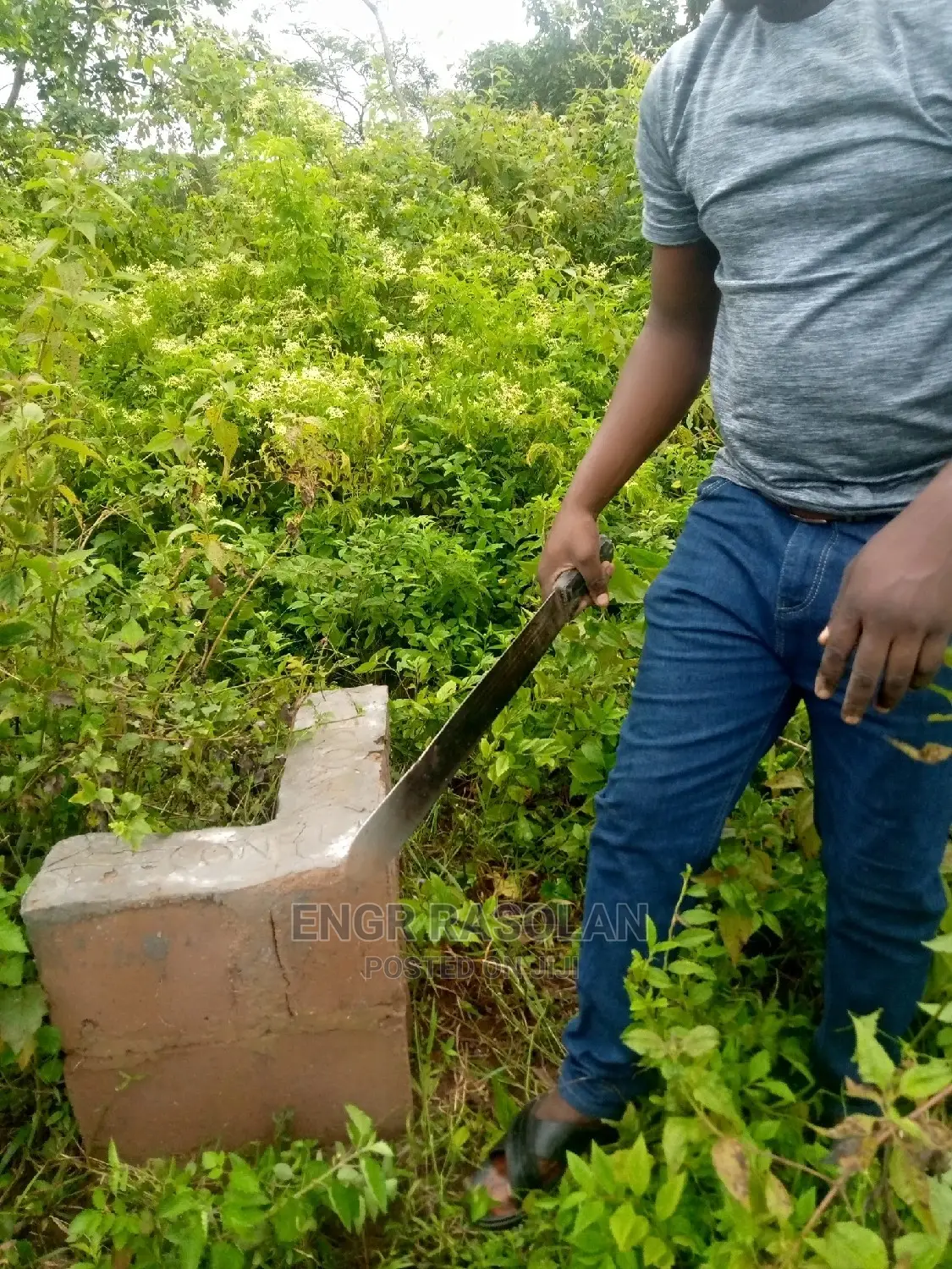 Farm Land for Sale in Asa