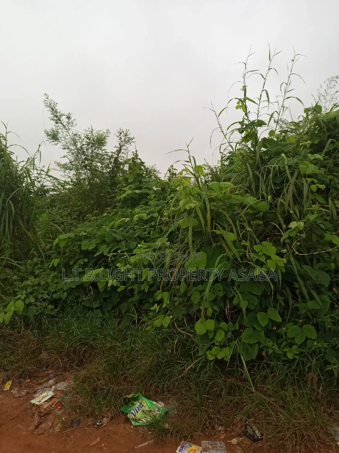 Deed of Conveyance , Community Recovery Documents in Oshimili North