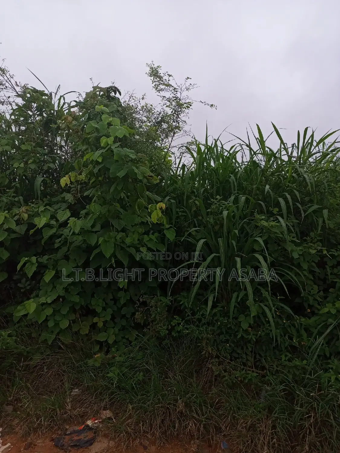 Deed of Conveyance , Community Recovery Documents in Oshimili North
