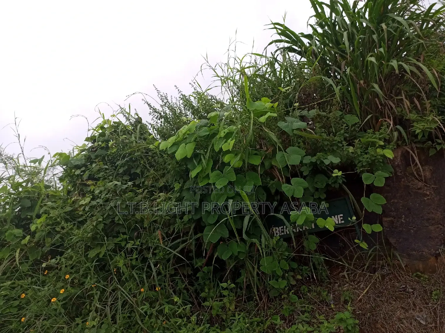 Deed of Conveyance , Community Recovery Documents in Oshimili North