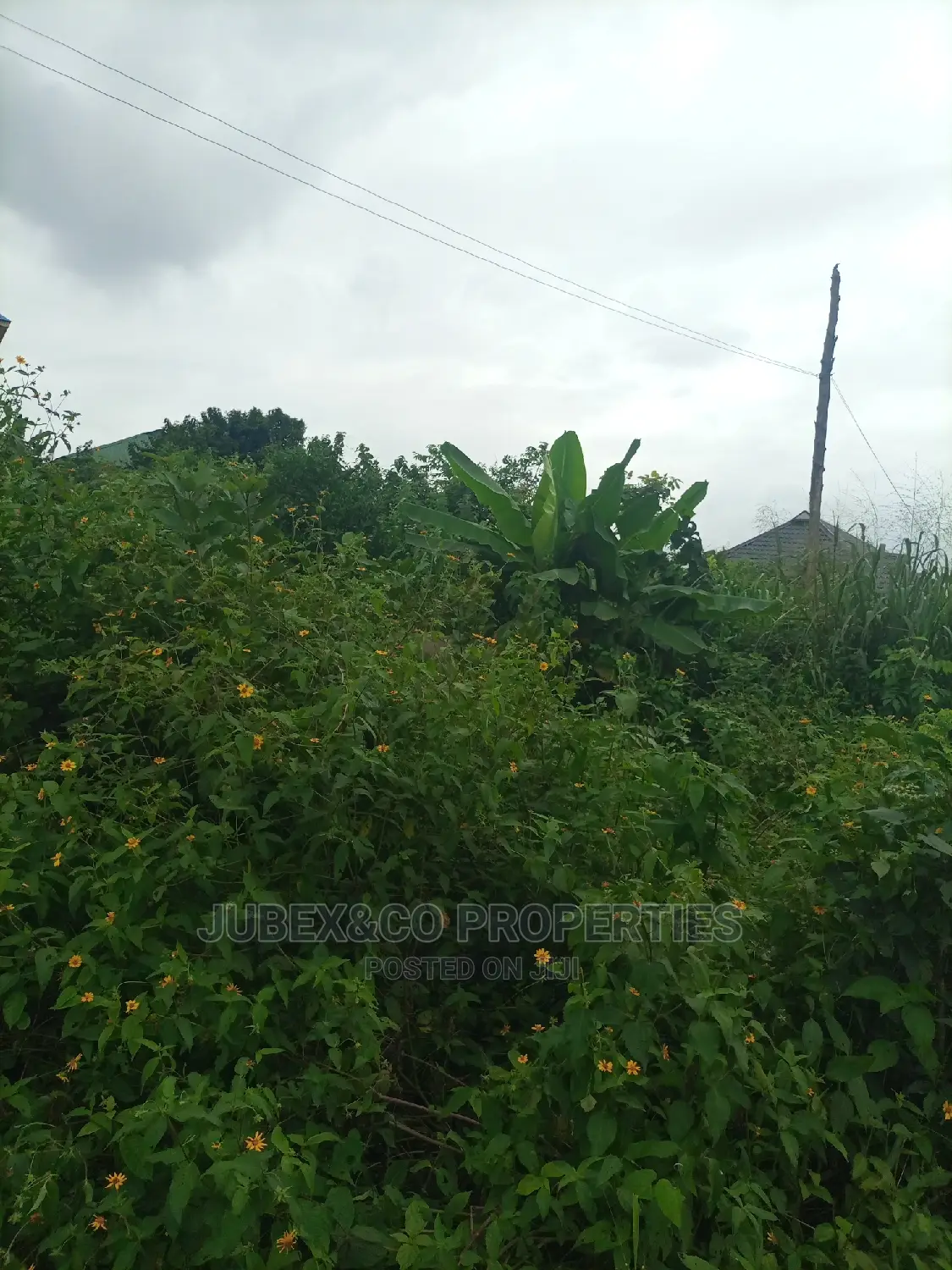 One Plot of Land at Ibeju Lekki Near Dagote Refinary in Elerangbe