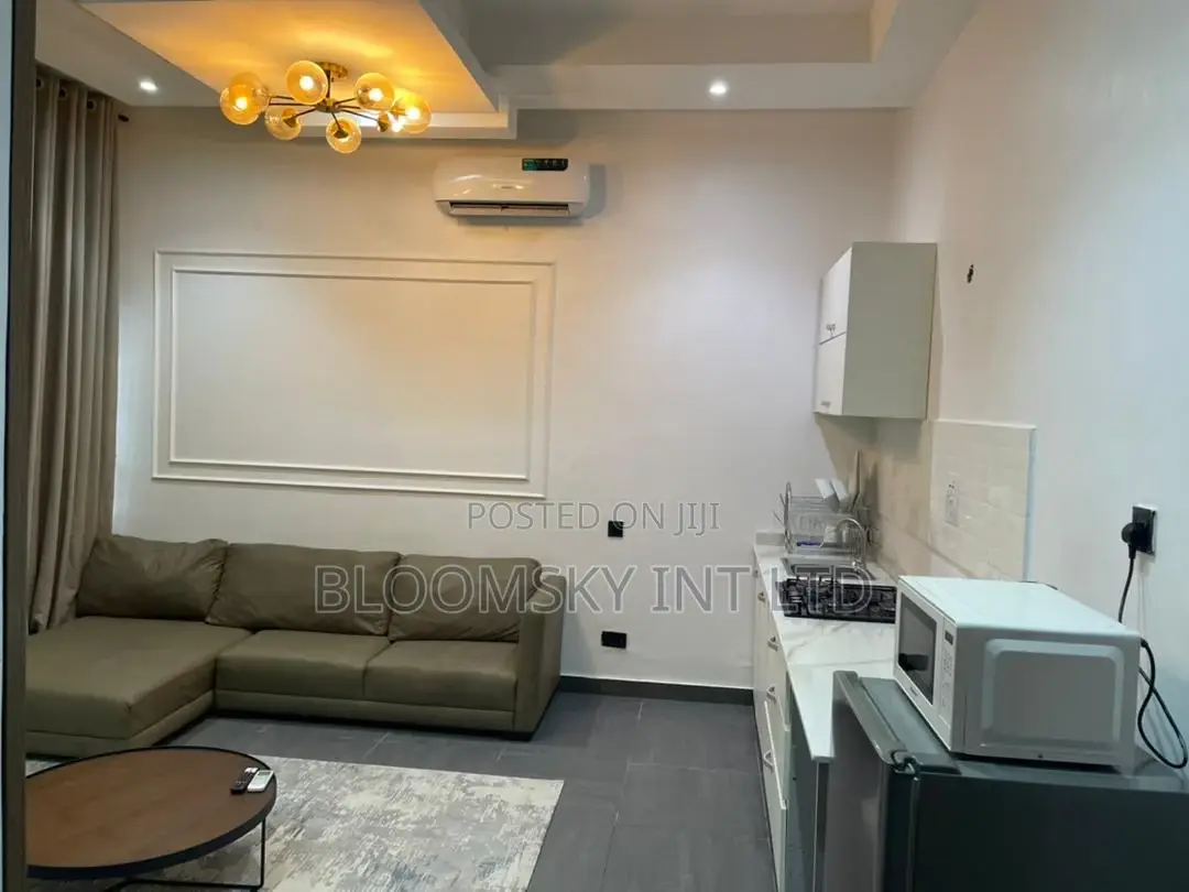 Cozy 1 Bedroom Shortlet Apartment in Lekki Phase 1 in Lekki