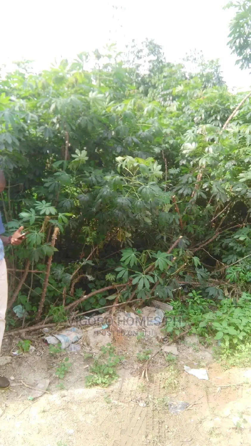 Affordable Land for Sale in Port-Harcourt