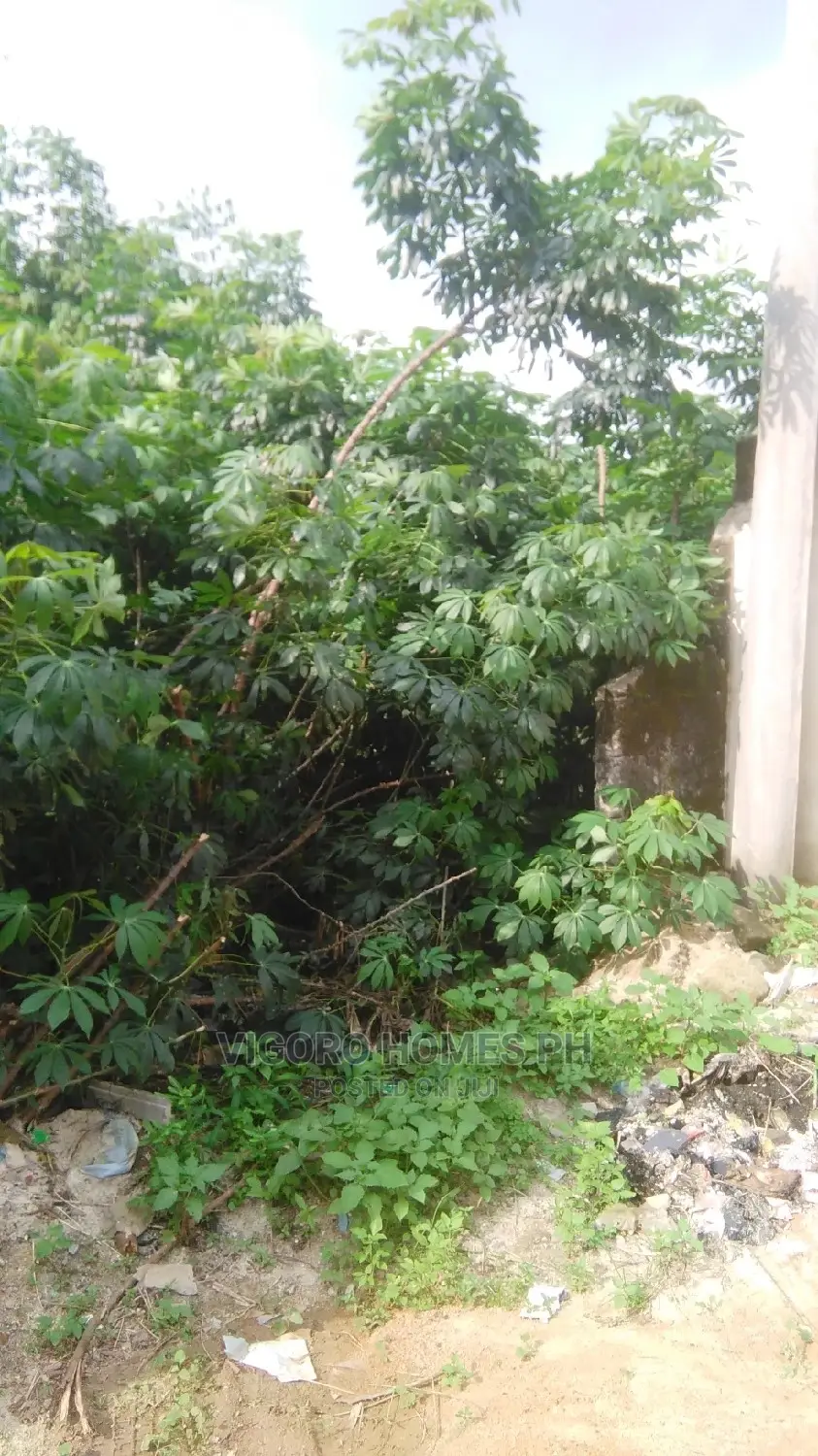 Affordable Land for Sale in Port-Harcourt