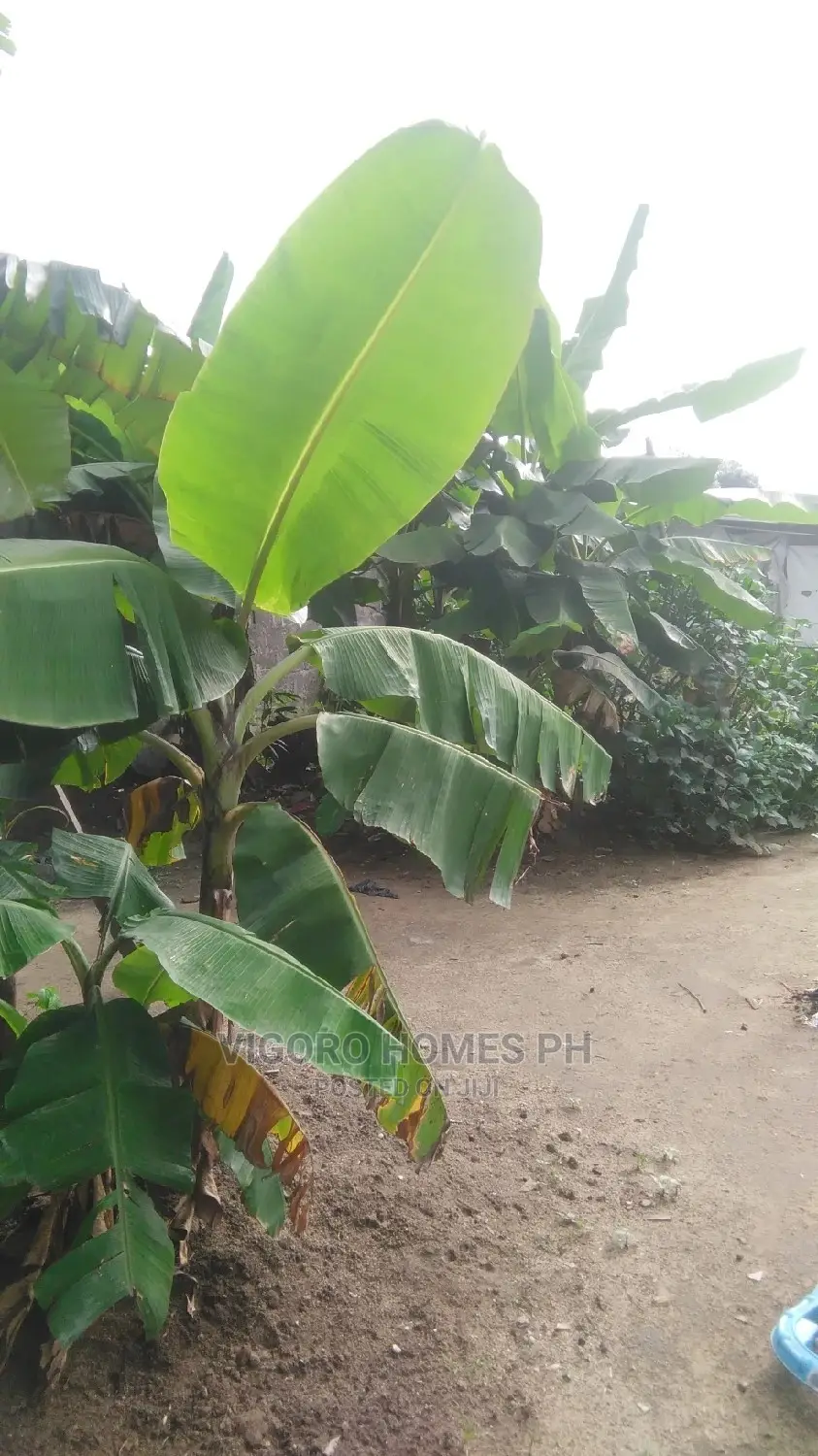 Dry Table Land for Sale in Port-Harcourt