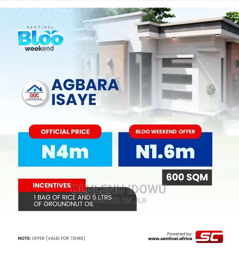 Survey Layout in Alimosho