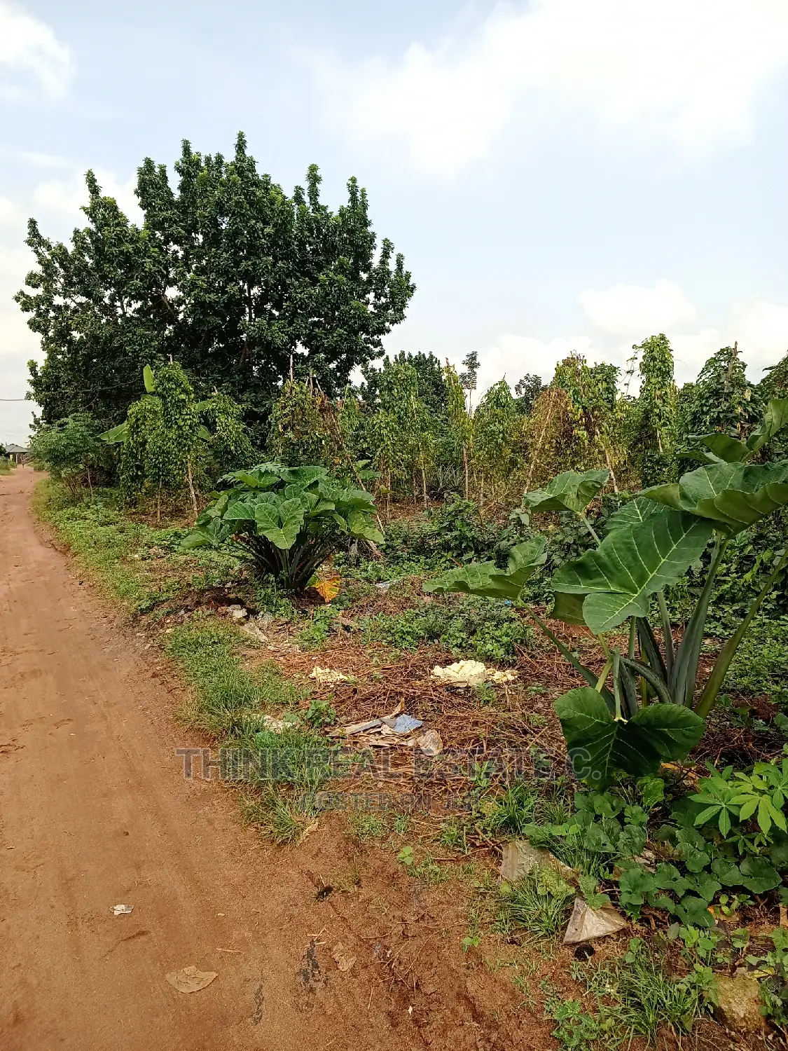 100/100 Land at Eyean-Aduwawa Very Close to the Tarred Road in Benin City