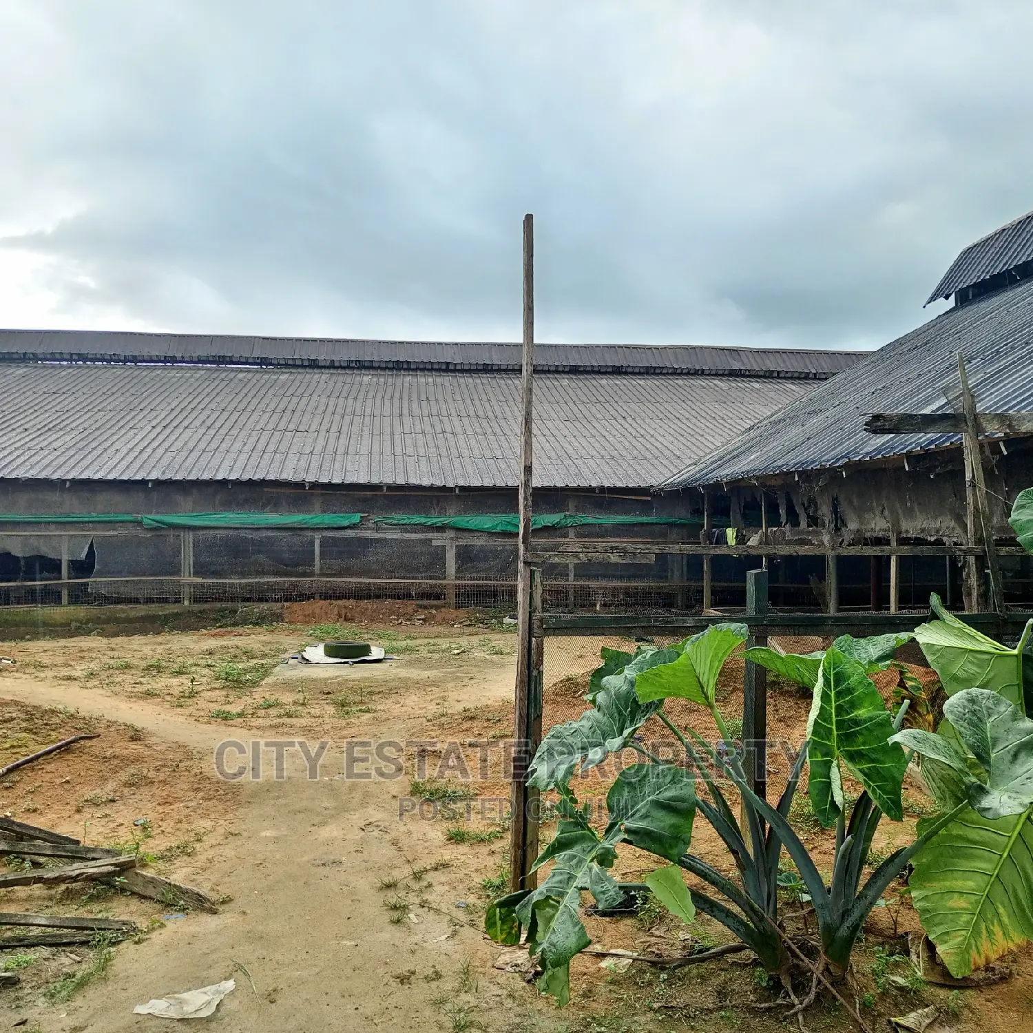 Poultry Farm on 9 Plots of Land for Sale in Portharcourt in Port-Harcourt