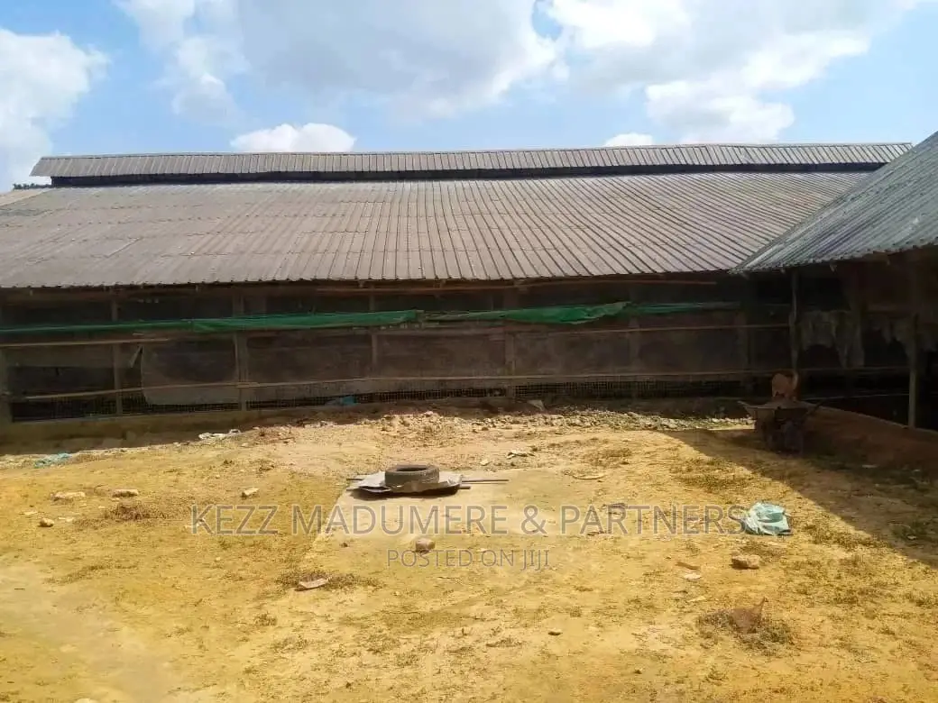 For Sale: 10 Plots Poultry Farm at Uwuagwu in Owerri