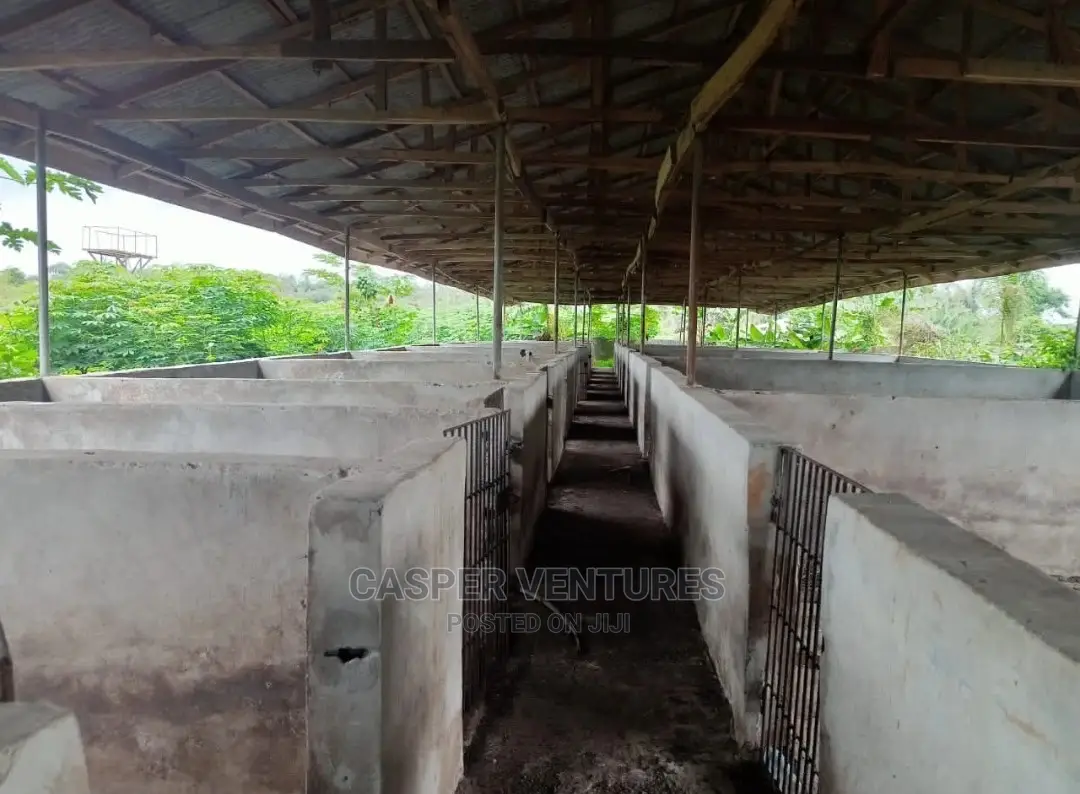 5 Plots of Documented Fenced Land for Sale in Ibeju in Elerangbe