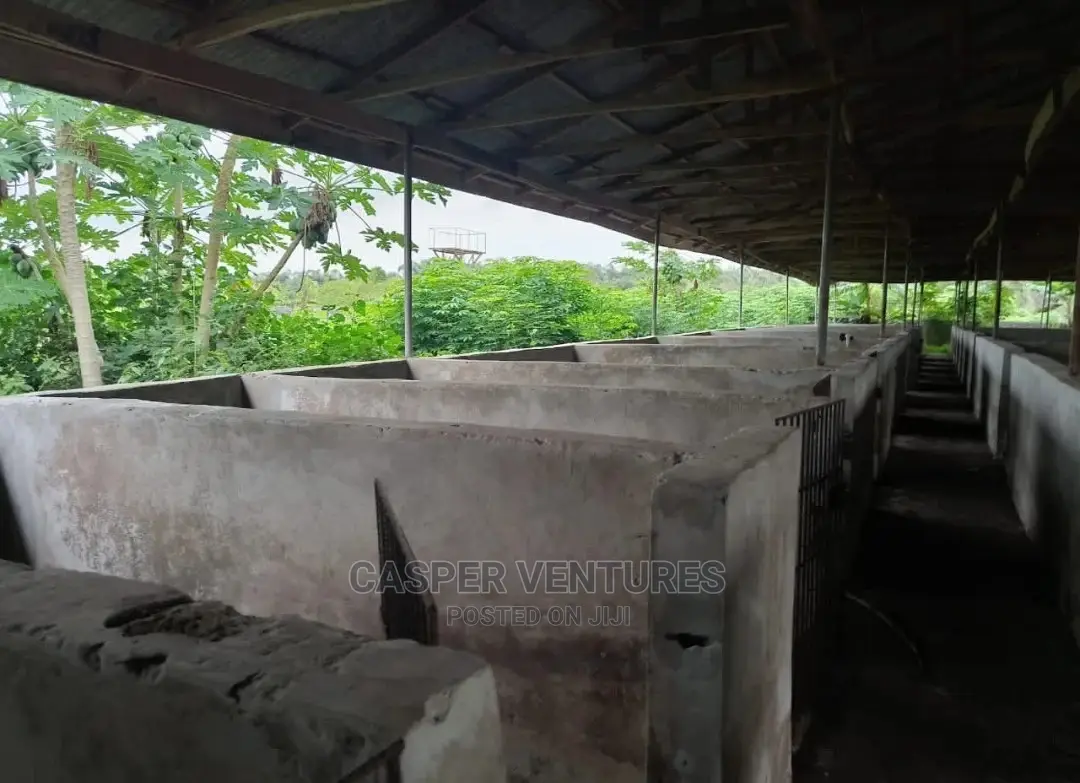 5 Plots of Documented Fenced Land for Sale in Ibeju in Elerangbe