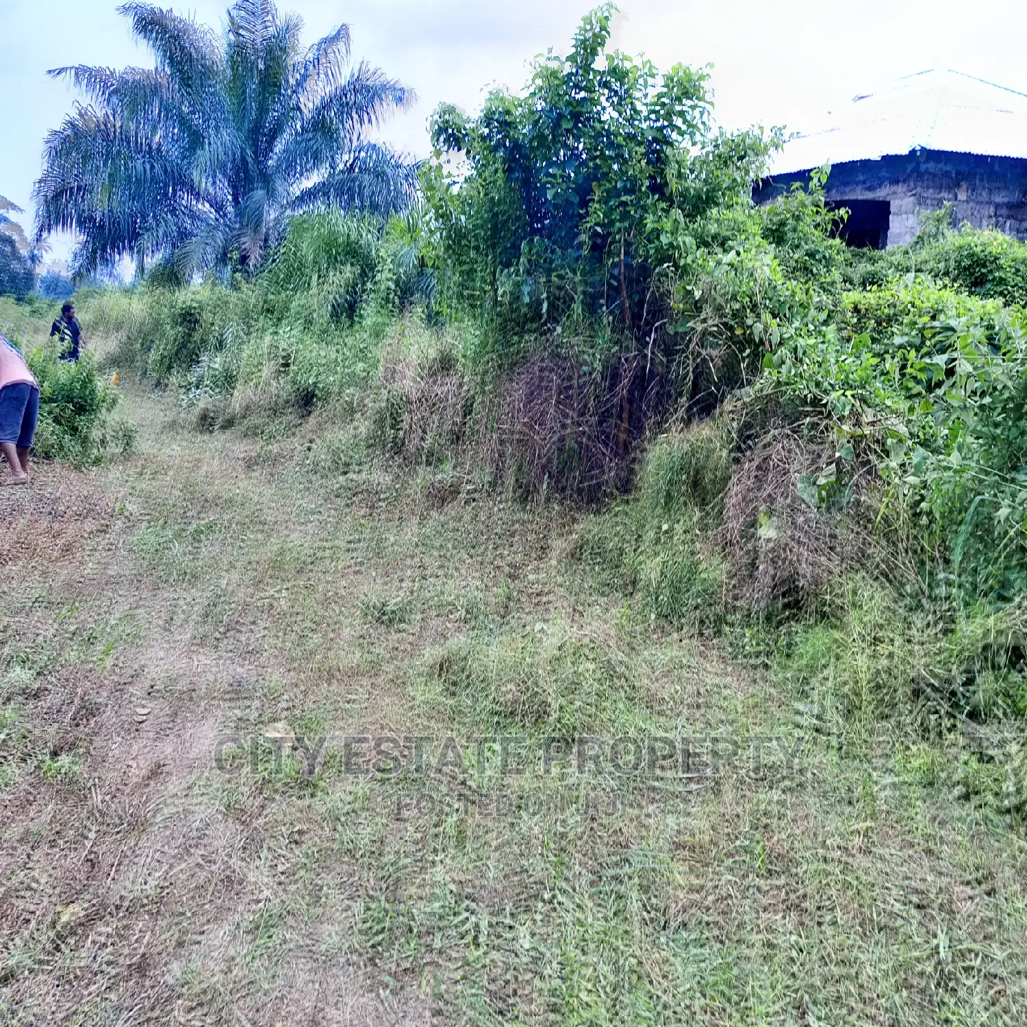 Buyand Build Land for Sale at Omagwa Ph in Port-Harcourt