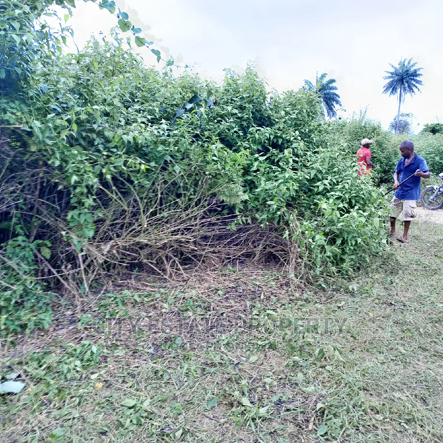 Buyand Build Land for Sale at Omagwa Ph in Port-Harcourt