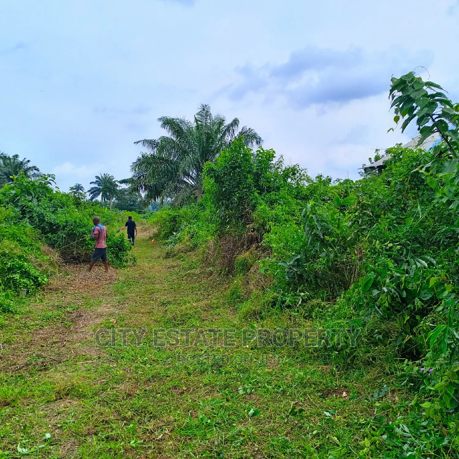 Buyand Build Land for Sale at Omagwa Ph in Port-Harcourt