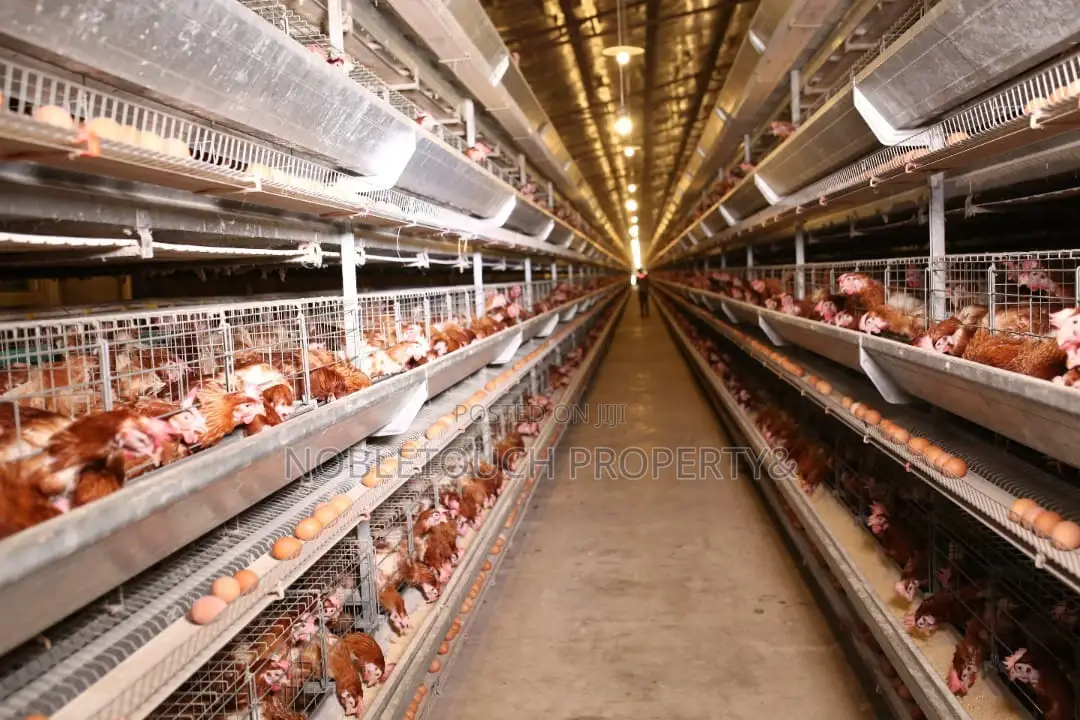 Poultry/Vegetable Farmland in Ado-Odo/Ota