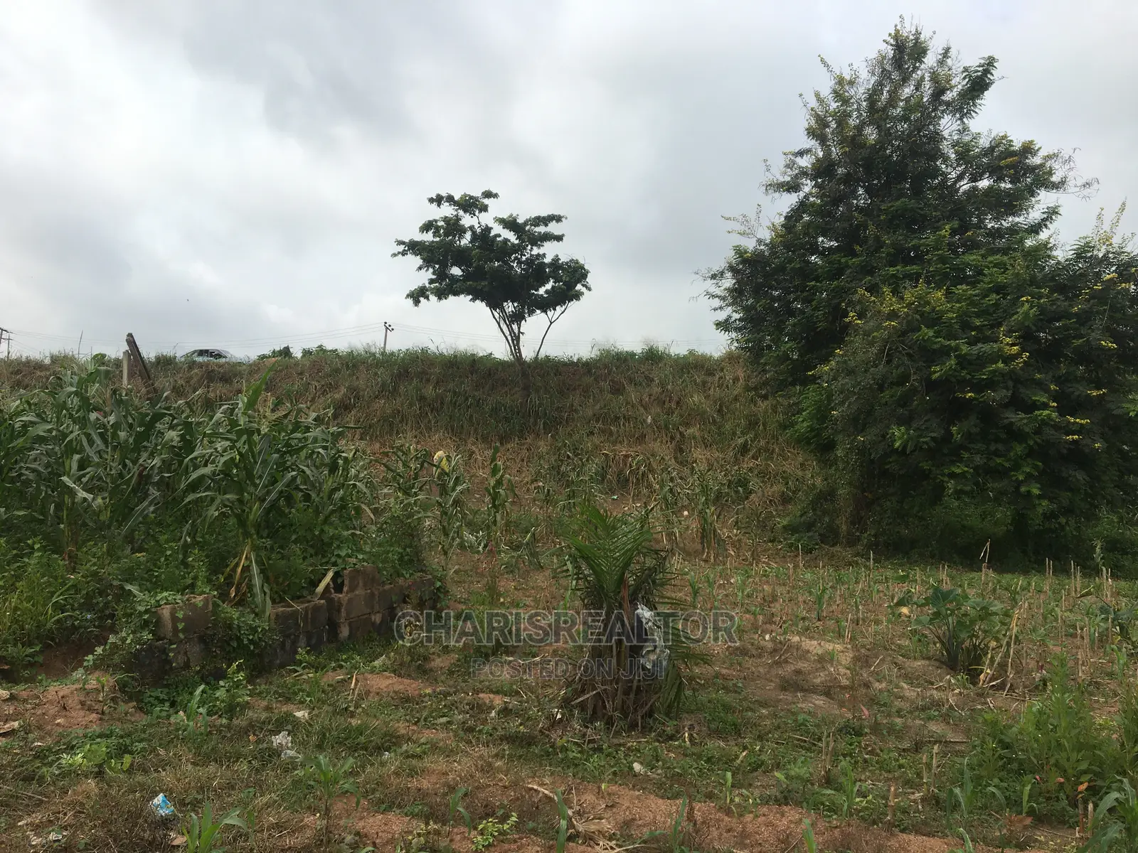 OYSH Estates Plots Alakia Expressway in Alakia