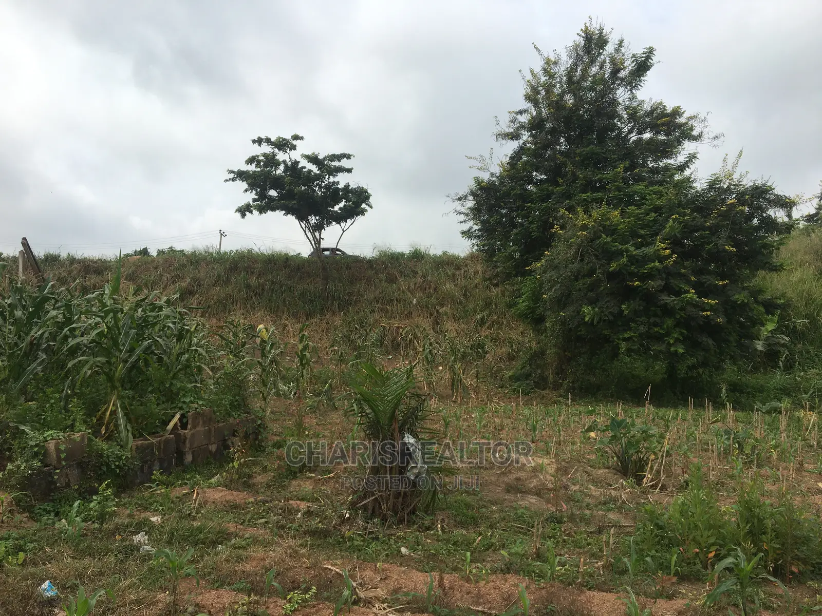 OYSH Estates Plots Alakia Expressway in Alakia