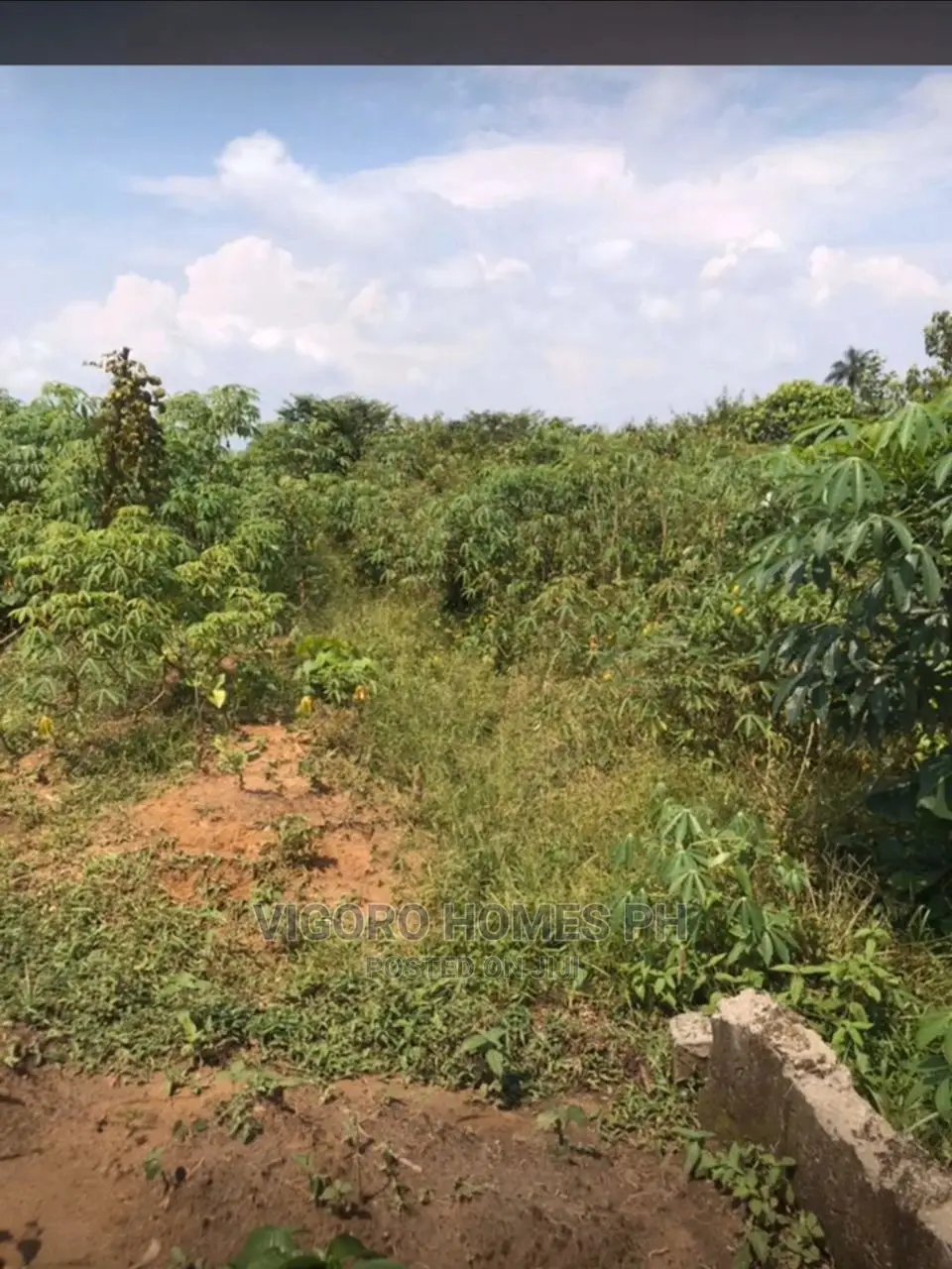 Dry Land for Sale in Port-Harcourt