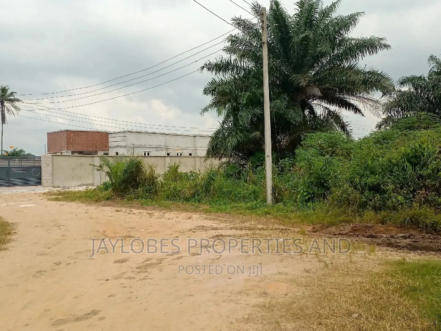 For Sale 10 Plots of Land Off Eneka-Igwuruta Road, PHC in Obio-Akpor