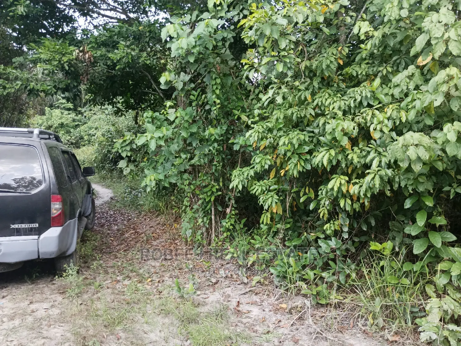 Over 100 Acres of Land For Sale in Elerangbe Ibeju in Elerangbe