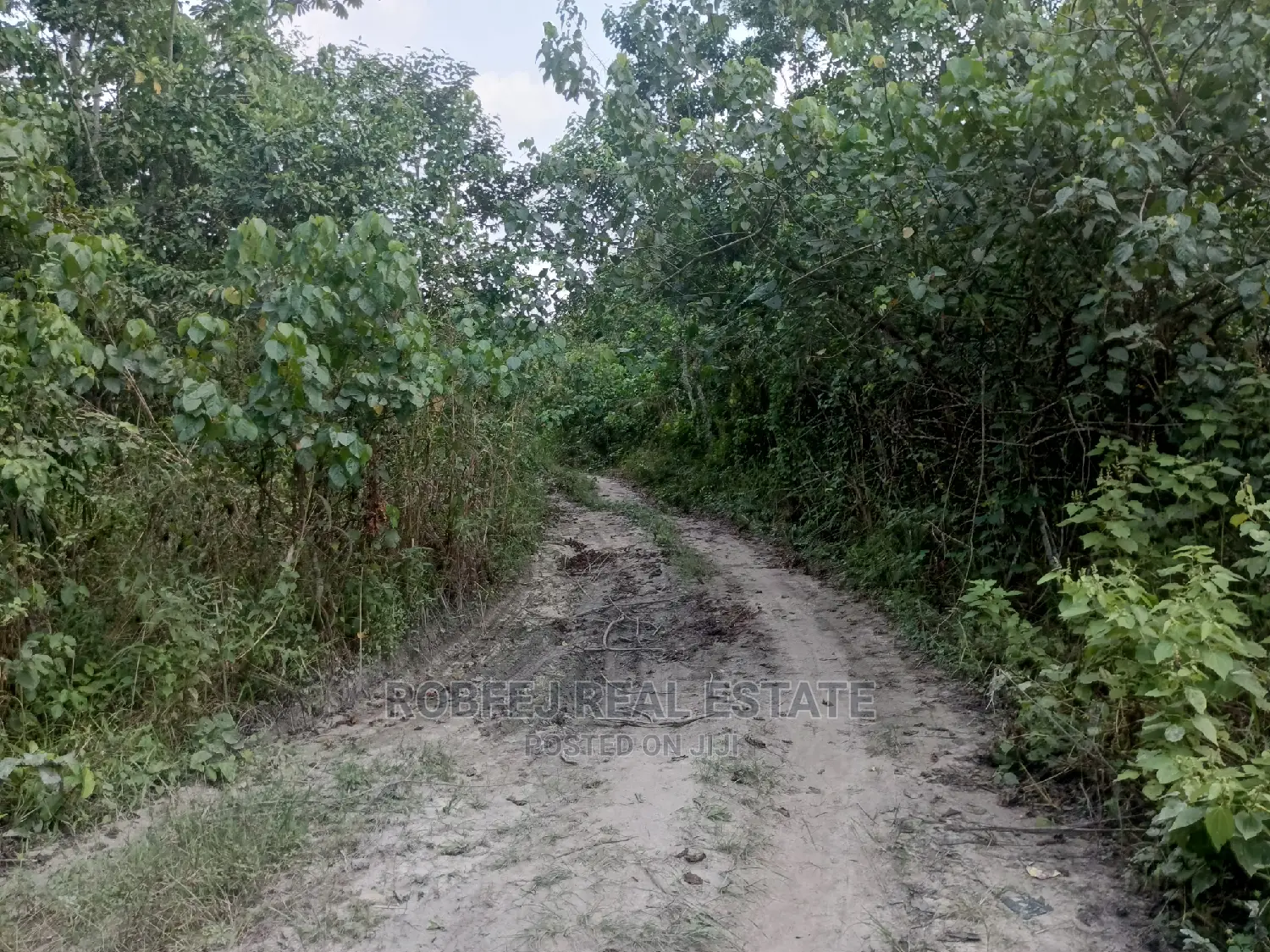 Over 100 Acres of Land For Sale in Elerangbe Ibeju in Elerangbe