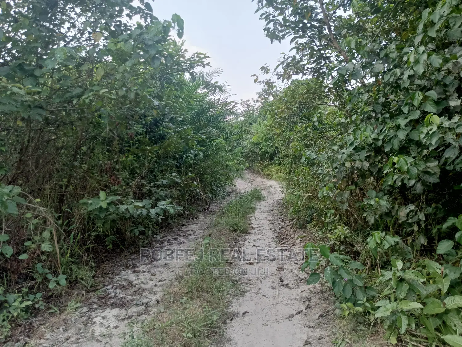 Over 100 Acres of Land For Sale in Elerangbe Ibeju in Elerangbe