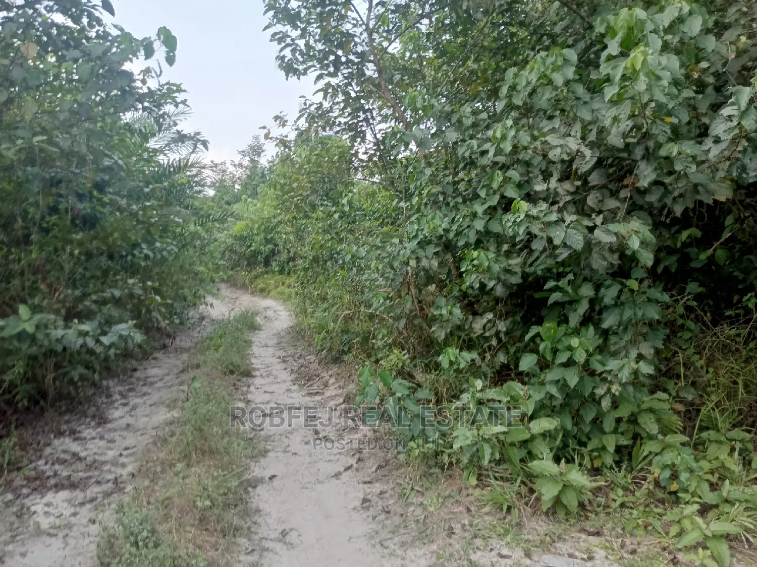 Over 100 Acres of Land For Sale in Elerangbe Ibeju in Elerangbe