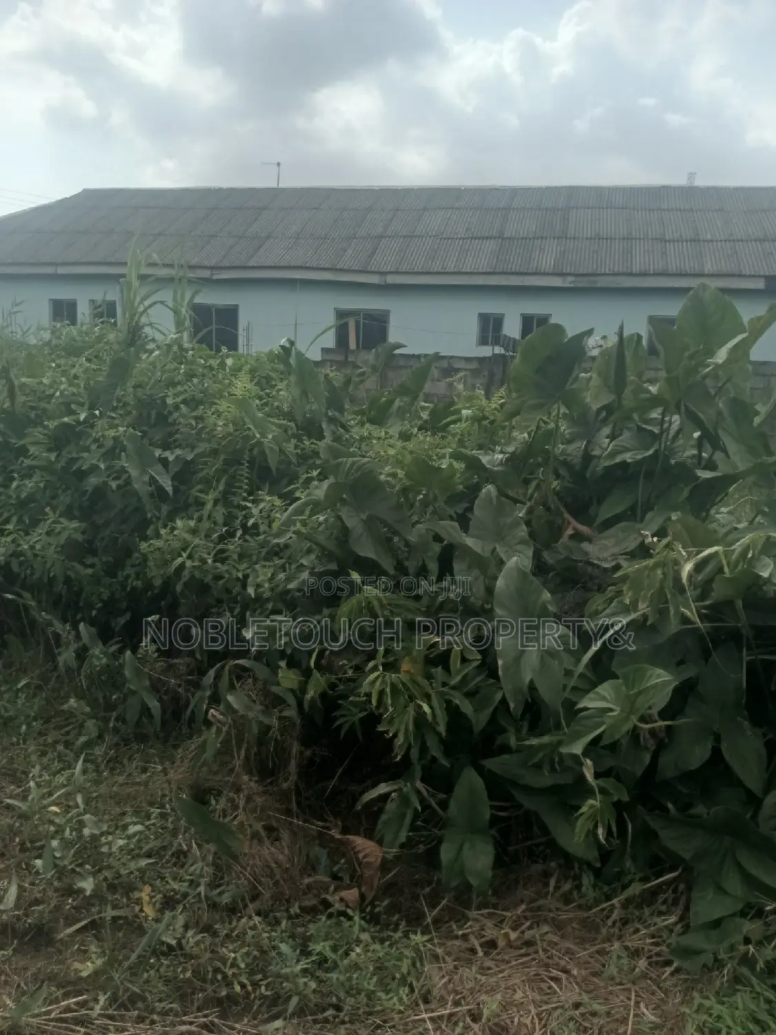 Half Plot of Land at Council Idimu for Sale in Iseri Olofin